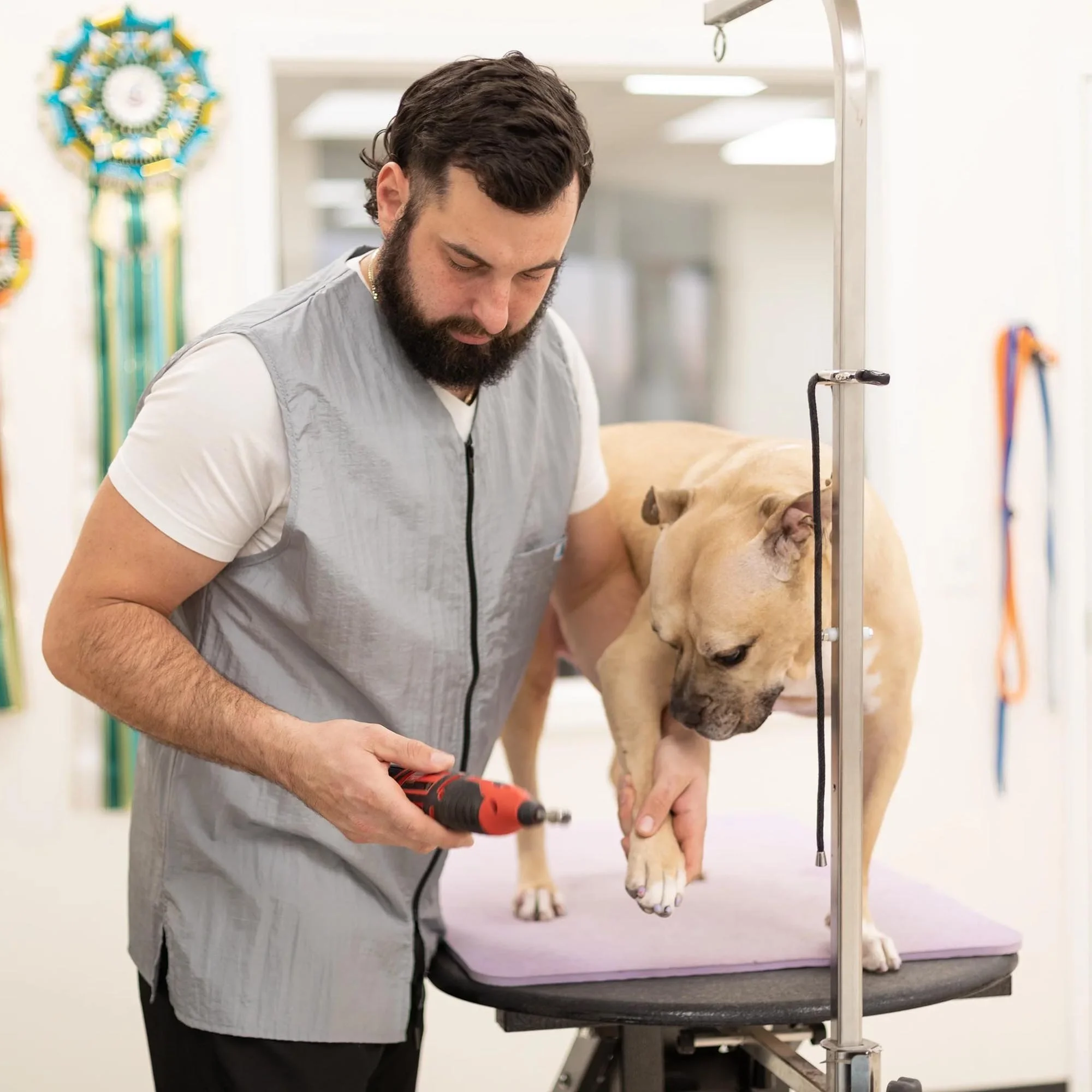 Groomer's Sleeveless Tank (Unisex) — Jodi Murphy Grooming Products